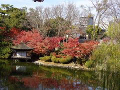 紅葉を求めて和歌山城内にある庭園へ