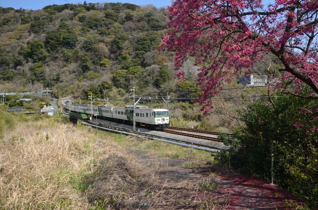 東京と下田を結んでいた１８５系踊り子号は国鉄時代の1981年から運行を始めて実に40年、昭和、平成、令和と3つの時代を駆け抜けてきました。<br />伊豆の人々に愛されてきた踊り子号を追って近隣の各駅でその姿を記録に収めました。<br />伊豆大川駅横からはトンネルから出てきた電車が鉄橋を渡りますがその構図が素晴らしい、又伊豆急では久しぶりに見える海も。<br /><br />