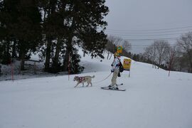 野沢温泉 グルメ に関する旅行記 ブログ フォートラベル 長野県