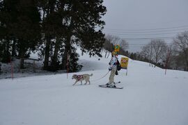 CRESSONで行く～２０２０年～２１年シーズン・野沢温泉スキー９泊１０日　スキー＆犬もスキー？①