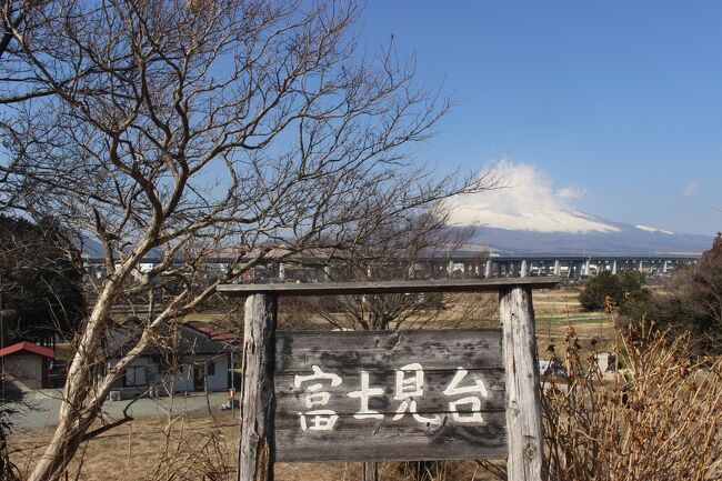 冬の雪化粧した富士山はとても美しい。<br />今回はＪＲのローカル電車に乗って富士山のふもとをまわってきました。<br />御殿場から沼津までは御殿場線、そのあと東海道線の普通電車で東海道の旧宿場町・原宿と戦国時代の最初のランナー・北条早雲の居城、興国寺跡に行きました。