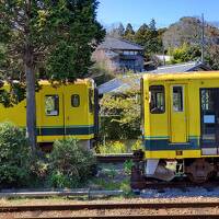 菜の花色の電車ブラザースと　丘にたつ翠海