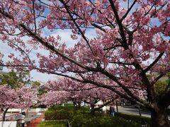 がら空きの葛西臨海公園で気分転換【親子で東京往復記2021年2～３月編その2】