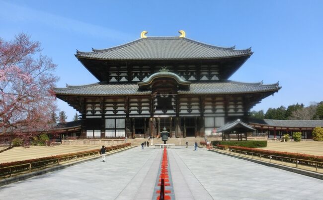 83日ぶりに、滋賀県から出た。<br />県内軟禁状態自主解除。<br /><br />滋賀県は良い所だけど、こうも長く県内にとどまっていると、さすがに気が滅入る。<br />嵐山の岩田山に猿を見に行こうよと提案したら、猿より奈良の鹿の方がいいとトシ爺が言う。<br />この際どこでもええわ。<br />滋賀県から出して!<br /><br />向かうは奈良公園。<br />繰り返し行っている有名観光地。<br />ベタすぎて、感動する余地がなさそうな。<br />そういえば、観光客が減って鹿せんべいをもらえない鹿が、空腹のあまり狂暴化していると聞いた。<br />ほんとかな?<br />そこはしっかり、検証したい。<br /><br />コロナで観光客は少ない。<br />大声で騒ぐ外国人観光客がいないのが、すっごくいい。<br />コロナは大嫌いだけど、人が少ないのは大歓迎だわ。<br />