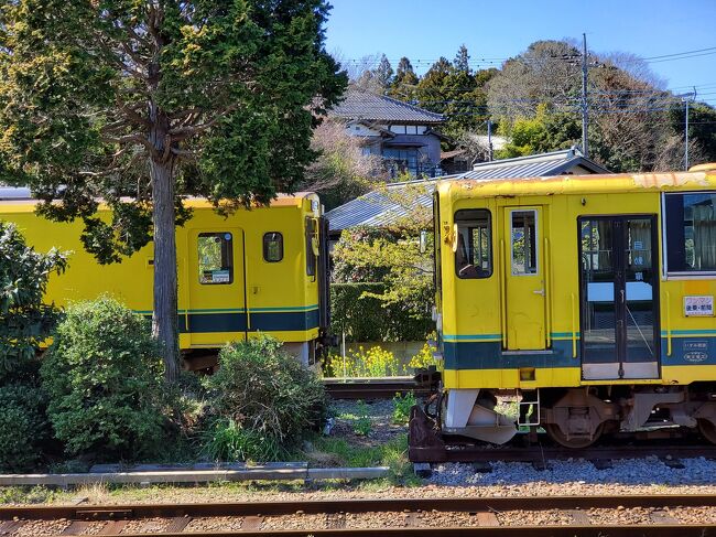 お隣の千葉県へ、ショートトリップ。<br />およそ4ヵ月振りに、<br />都外を、出ました。<br /><br />勝浦の丘に佇む、緑水亭　勝浦別館　翠海の温泉で<br />心と、体をジャブジャブ洗って来ました。<br />