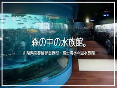 森の中の水族館。