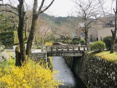 開花宣言翌日のぶらり京都さんぽ　からの 京都と滋賀の関係性についての考察