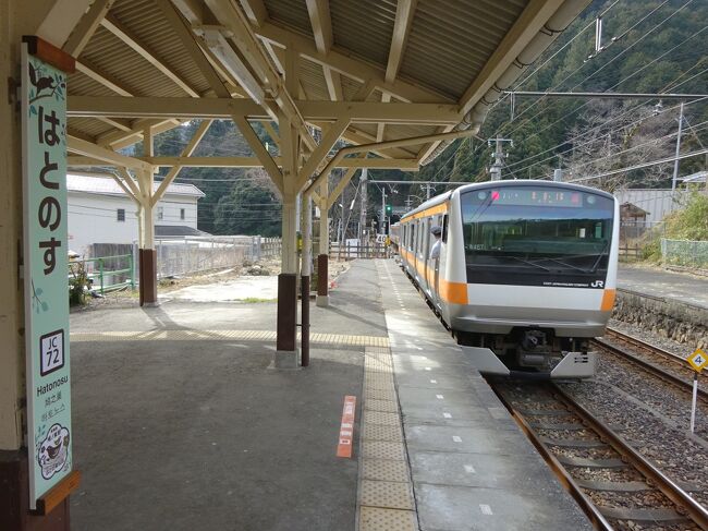 コロナ禍、非常事態宣言の地域に閉じ込められてどこにも遠出できないのを逆手にとって、自宅とほとんど同じエリアにありながら最近行ってない青梅線沿線を巡っております。<br /><br />奥多摩町内にある、なぜここに駅が?という場所にあるような白丸駅と川井駅を巡りました。当初の予定では最後に奥多摩駅に行って終わり、ということで考えておりました。<br /><br />が、ここまで来たので予定変更。<br />その間にある、鳩ノ巣駅と古里駅を巡ってみます。<br />この2駅は比較的大きな集落の中にあるのですが、とても東京近郊の通勤電車が通るとは思えないようなローカルな風情の駅です。古里駅などは改築されて余計そんな雰囲気になりました。<br /><br />そして、最後に終点の奥多摩駅。各駅を巡ってお疲れ様でした。最後に温泉で締めます。<br />意外と駅から歩いて、これまたいいお散歩になったのでした。