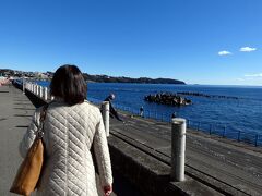 １９．年末年始のエクシブ8連泊　伊豆高原～湯河原のドライブ　湯河原海浜公園の散歩道