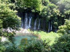 富士宮の白糸の滝、北山本門寺、大石寺五重塔、小田原宿