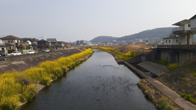 　ご覧戴きましてありがとうございます。<br />　2021年３月14日の日曜日は博多駅を起点に日帰り？で熊本と鹿児島に行ってきました。そのうち午前中は熊本に、午後は鹿児島に立ち寄りました。<br />　２部構成での公開を予定しており、そのうち前編となる今回は①博多から熊本まで九州新幹線「みずほ」で移動した時の様子、②坪井川緑地付近を散策した時の様子、③熊本市内でランチを頂いた時の様子等を紹介させて頂きます。<br />　