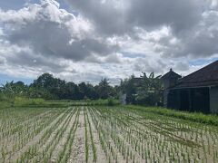 まだバリ島は雨季ですね