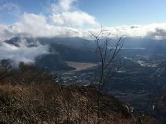 仙石原すすきと金時山