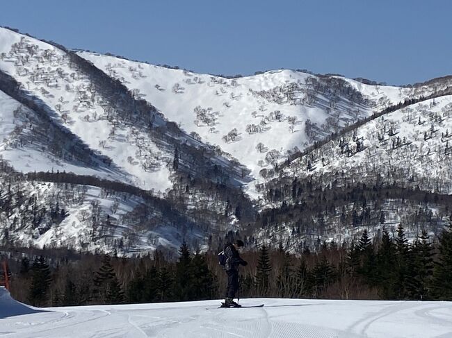 今年の冬は北海道にスキーに行きました。<br /><br />スキーは２０年ぶりなので滑れるか心配でしたが、何とか<br />無事に怪我も無く帰って来れました♪<br /><br />北海道の海の幸をたくさん食べ満足な旅行でした。<br /><br />3月13日　JL505　羽田   08:20 - 新千歳 09:55<br />3月16日　JL516  新千歳 16:05 - 羽田   17:40 <br /><br />ホテル : キロロ　トリビュートポートフォリオホテル（旧ホテルピアノ）　<br /><br /><br />