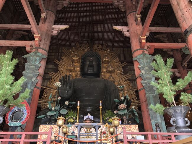 いつもながら直前に決まるお出かけ<br />「そうだ奈良、行こう。」<br />リュック一つでふらっと行ってきました<br /><br />奈良公園へGO-