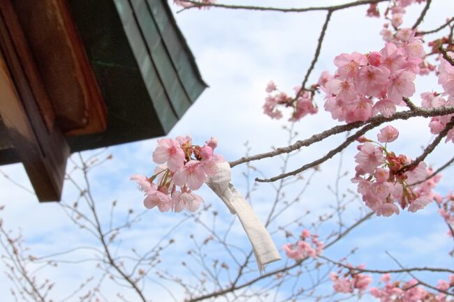 毎年恒例の結婚記念日(34年目)の旅行は香川県金毘羅山にしました。<br />天気予報は雨の予想です、春の嵐の予報もあり、どんな旅行になるか・・・<br /><br />