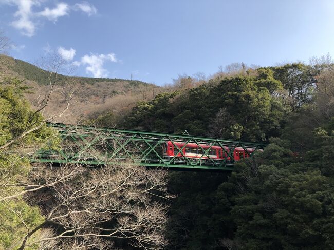 春の箱根へ１泊で。<br /><br />１日目は、芦ノ湖畔の元箱根周遊をのんびり散策して、宿泊先の箱根湯本「箱根藍瑠」へ。<br />チェックインの３時からは、露天風呂付きの部屋でゆっくり。<br /><br />２日目は、朝食後、早川沿いのバス通りをあるいて、塔ノ沢から出山の陸橋（早川橋梁）まで。<br />以前から一度見てみたかった、緑色の橋を渡る真っ赤な箱根登山鉄道をしばらく眺めて、ホテルへ。<br />再び部屋でのんびりと過ごして、１１時にチェックアウト。<br />箱根湯本駅前の早川沿いを散歩して、帰路につきました。