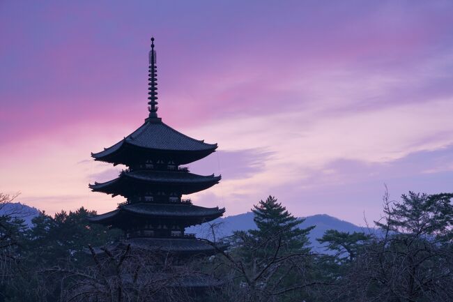 友人と奈良に1泊2日で行き、お寺巡りをして来ました。<br />まだ春の花が咲く時期には早いのですが人出の少ない時期なのでゆったりと<br />観光ができました。今回の旅行記は寺社の紹介を目的として作成しました。<br /><br />1日目は西大寺、菅原天満宮、喜光寺、垂仁天皇陵、奈良公園、興福寺を巡りました。<br />2日目は日本で最初の世界文化遺産の法隆寺、信貴山の朝護孫子寺を巡りました。<br /><br /><br />今回使用の撮影機材は<br />SONY α7RⅢ レンズ 24-105mm 、レンズ 16-35mm<br />