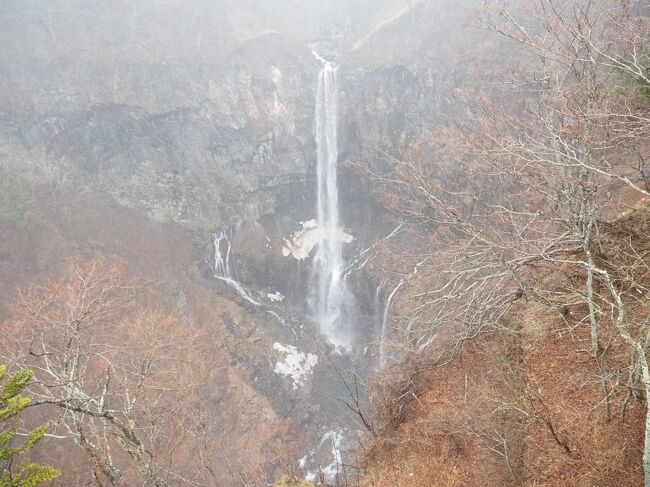 2021年3月。中学卒業記念旅行に日光へ出かけました。<br />2日目は夜から雨。しかも強め・・・「霧で見えないかも」と思いましたが華厳の滝へ。<br />霧はありましたが、滝は見えました。<br /><br />1日目。輪王寺。東照宮。二荒山神社。大猷院。ランチは参道にある「みはし」。夜は「メインダイニング」「バーデイサイト」<br />2日目。雨なので華厳の滝のみ。朝は「メインダイニング」昼は華厳の滝近くのお店でお蕎麦を食べたものの、「メインダイニング」で2回目のランチで、100年カレーとカツサンドも食べる。夜は「スシロー」・・・。