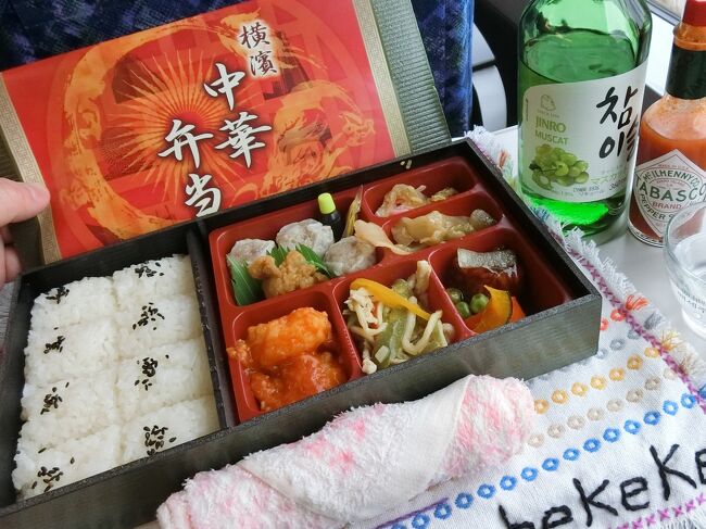 21 3 こんなご時世なのでロマンスカー 小田原 神奈川県 の旅行記 ブログ By へけけさん フォートラベル