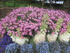 浜名湖のほとりで、花に癒される！教科書にのっていた登呂遺跡は、こんな所だった・・・