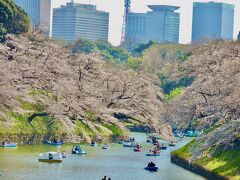 2021お江戸桜便り