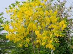 パタヤ～ペッチャブーン（1日目）480Km（6時間30分）新しいホテルで1泊