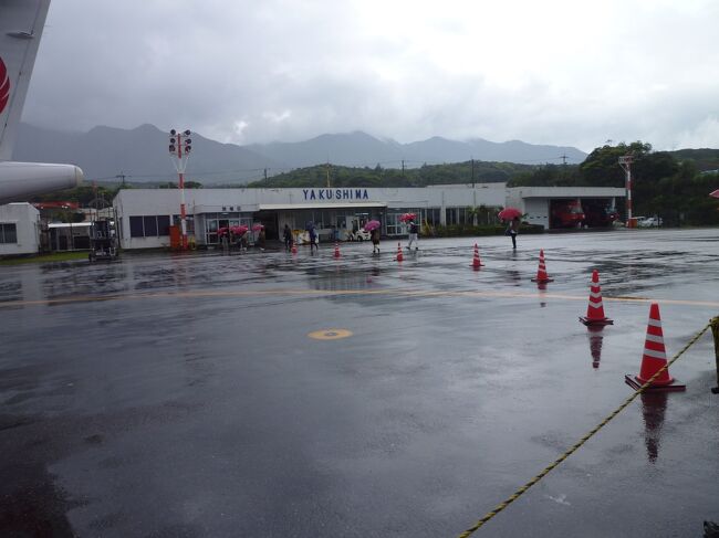 念願の屋久島に2泊3日で旅行しました。<br /><br />旅行に行くまでの1週間、日々変動する屋久島の天気予報に仕事そっちのけでにらめっこ。快晴でありますように神様!仏様!拝めるものはなんでも拝みました。<br /><br />しかし結局屋久島到着日は一日目は雨。2日目、麓は晴れていましたが、今回最大のイベント、宮之浦岳登頂は強風、小雨、視界0メーターの最悪状態でした。<br />雨男の本領発揮です。<br />3日は何とか好天に恵まれ白谷雲水峡に行きました。<br />