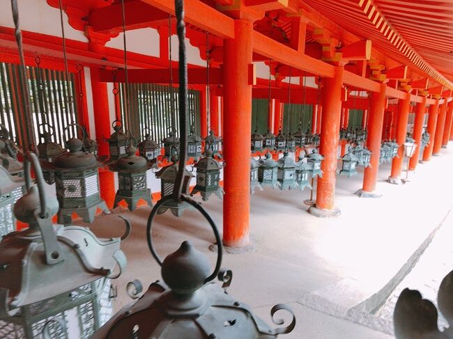 いつもながら直前に決まるお出かけ<br />「そうだ奈良、行こう。」<br />リュック一つでふらっと行ってきました<br /><br />大仏様の後は春日大社とホテル満喫