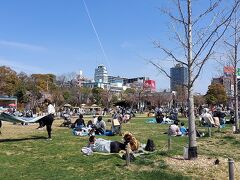 ディスカバリーご近所。というか、墓参りついでに天王寺公園(^^;)白熊の赤ちゃんに会いたいなぁ～