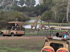 噂の「アフリカ・オーバーランドツアー」に参加してみたさ…その６　セルー野生動物保護区