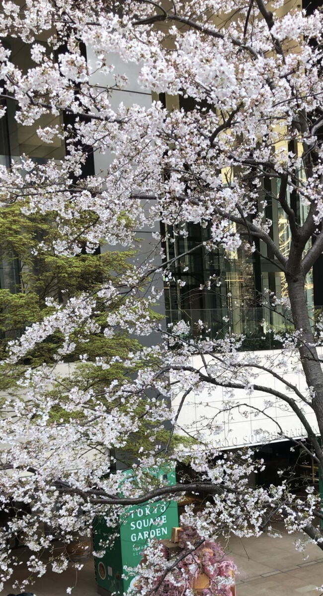 Tokyo Stay 365(12th week)中野と高円寺の銭湯を堪能してヒラメの桜塩を味わい、再び函館にチェックインアゲイン