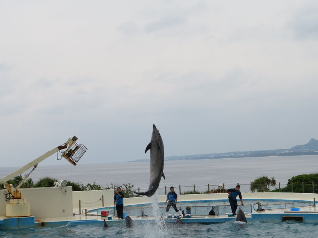 十数年前にカヌチャベイに宿泊した時に美ら海水族館に行きたかったのですが行かれず。<br />家族は興味無しだったんです。<br />それからずっと行きたいと思い続けて十数年。<br />今回念願かなって美ら海水族館に行ってきました。<br />今日からハレクラニ沖縄に2泊です。