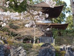20210324-3 大津 石山寺の桜も綺麗やねぇ