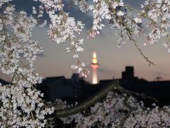 20210325-2 京都 京都タワー写せへんかなと、夕暮れから川端通りを行ったり来たり