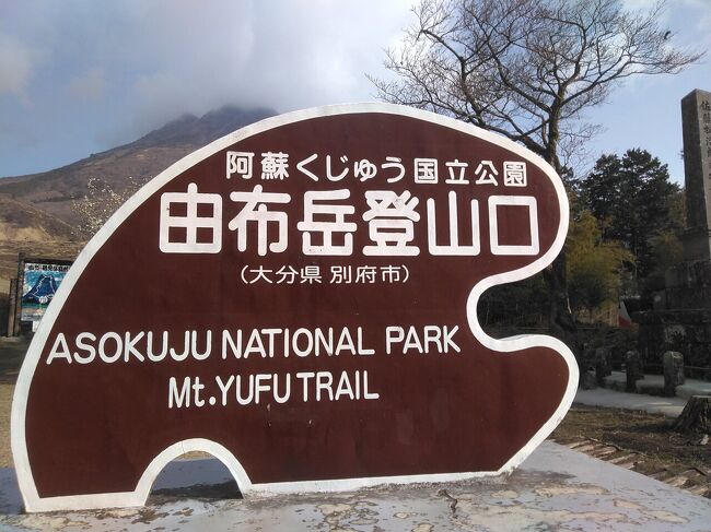 さんふらわあの大阪別府往復が何とたったの１万円!往復船中泊の０泊３日、現地滞在時間11時間くらい。フェリーは物流トラックも乗っているので、コロナ感染症は絶対に出さないように、しっかり対策されていて、乗船客もものすごく少なくしていました。<br />今回の旅の目的は、ちょっこっと、別府にある由布岳に登ること。由布岳はもう死語とかした死火山。でも、山頂には噴火口跡があって、それをぐるりと一周できるのです。雪はなかったのですが、前日の雨のせいか、きれいな霧氷を見ることができました。それにしても、平日でしたが、春休みなのでしょう、老若男女たくさんの人が登っていました。帰りにひょうたん温泉につかって、汗を流す。大学生かなぁ、若い人たちが来ていました。湯からあがれば、温泉卵食べて、近くのスーパーで青色のパックの木挽を買って、すぐにフェリー乗り場ヘ。あっという間の別府滞在でした。<br />今度は、鉄輪温泉の立ち寄り湯につかり、美味しい別府九州の料理に舌鼓をうちたいと思います。