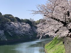 春のちよくるの旅　北の丸公園~千鳥ヶ淵~新見附橋~靖国神社~湯島聖堂~sky~はなの像~宝珠稲荷~東稲荷~豊岩稲荷~八官神社~芝口~宮越珈琲