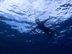 まだ海外には行けないので・・・石垣島へ女一人旅 3【シュノーケリング編】