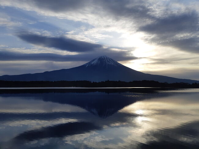 逆さ富士にリベンジの田貫湖&三嶋大社の桜