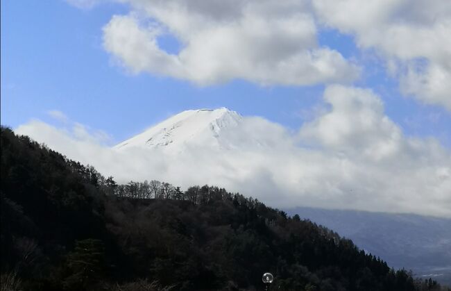 お花の時期には中途半端で 何も咲いていなかった<br />富士山が見たかったけど 雲が多くて 綺麗に見えたのは 二日目の朝だけだった<br />富士五湖は お天気が変わりやすいのだろうか<br />今年は暖かいのに なぜか行った日は 特別に寒くて 山中湖と河口湖がニュースに出ていた<br />途中でみぞれが降った<br />ニュースでは翌朝道路の凍結があるかもしれないと言われていたが 凍結はしていなくてほっとした<br />山中湖方面に行くと雪が残っていて もしかしたら昨日のゆきか白と思った