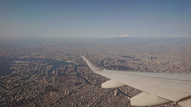 マイルが失効しそうだったので、一度使ってみたいと思っていた、どこかにマイルで旅行してきました！<br />行き先は羽田-三沢往復でしたので、それから色々旅程を考え、十和田・弘前・能代・五能線・青森を旅してきました。<br />早春の一人旅だったので、レンタカーの選択肢はなく、公共交通機関を利用して結構移動もしたため、交通費がかかった旅となりました・・・。