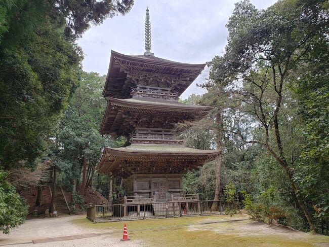 岡山県北旅行2日目の3月20日の旅行記です。この日は予報では朝から台風並みの大雨という事で予定を変更。当初はかなり遠くまで行く予定でしたが近郊を回る事にします。拠点にしているのが津山という内陸都市なので、天候不順による道路寸断が怖かったというのと、そこまでいかなくても天気が悪化した際の対処がしやすいのは近場という事でまずは美咲町柵原にある柵原ふれあい鉱山公園の片上鉄道保存車を見に行きました。9年前に岡山に来た時も行きたかった場所でしたがスケジュールが合わず来れなかった場所。鉱山鉄道であった片上鉄道の多くの保存鉄道がある場所。コロナ禍で保存運転は中止になっているけど、それでも綺麗に整備されている車両群をみれただけでも良かったです。鉱山資料館もどちらかというとついでだったのは事実ですけど、柵原鉱山の大きさや先進的な鉱山だった事を知れたのは勉強になりました。<br />そしてここで柵原地区の名所を紹介していたので次は本山寺へ。急遽の予定変更だったのでどこが名所かわからなかったのでこれは助かりました。表紙写真にもした本山寺は開山は飛鳥時代、現在地に移ったのも1000年近く前という由緒あるお寺です。1350年建立の本堂や室町時代から江戸時代の建築物も多く、まったく知らなかったお寺で訪問時誰もいない状態でしたがとても良い場所を見れたと思いました。<br />いつも旅行って計画をかなり綿密に建ててその通り動くことがほとんどなんですが、こういう旅もいいなあとか感じた二日目前半です。