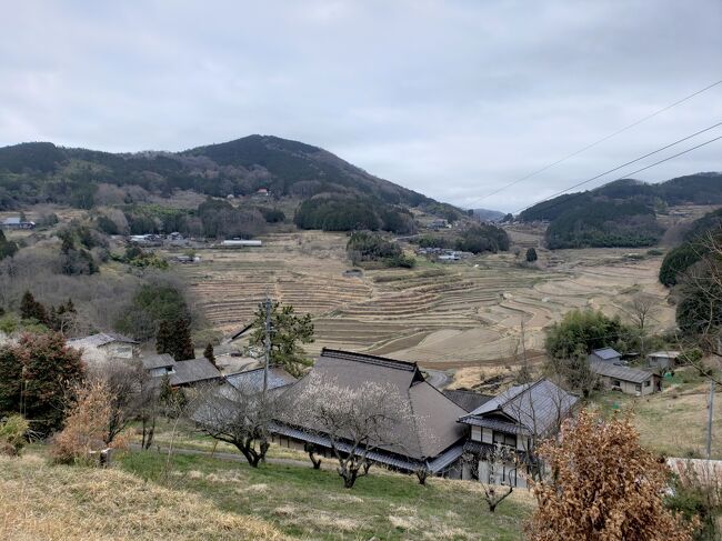 岡山旅行記２日目の後半です。本山寺から車で移動して美咲中央運動公園に到着したところからスタートです。天気が荒れるという予報で予定を変更し近場の美咲町を観光していましたがこの辺りで一度雨が本降りに・・・。<br />美咲町中心部にある亀甲岩や亀甲駅を見学後、美咲町名物の卵かけごはんを食べるために黄福広場にある食堂かめっち。へ。結構待つことが多いと聞いていましたが約４０分待ち。卵かけご飯を食べるために、と聞けば長いですが、とても美味しいごはんと卵、醤油で卵かけご飯を食べれたのでまったく長く感じませんでした。<br />その後は天気が不安定ながらもまだ持っていたので大垪和西棚田へ。棚田百選にも選ばれた棚田は観光のベストシーズンではなかったですが、３６０°棚田に囲まれた地区というのは圧巻でした。<br />なんだかんだ天気は夕方まで持ったのでドライブしながら鶴田藩西御殿跡や岸田吟香記念館などをみていきました。鶴田藩西御殿跡はマイナーな場所ですが幕末好きには感じる事が多い場所でした。<br />夕食は本場のタイ料理を提供しているお店へ。トムヤンクンはとても辛くて食べるのに相当な時間がかかったけど本場の雰囲気を味わえてよかったです。<br />結局雨は夜７時頃まで土砂降りにならず、結果的には予定通りでも大丈夫だったんだと思いますが、安全第一というのもありますし、美咲町の観光地をじっくり見て回れたので良かったなと思います。