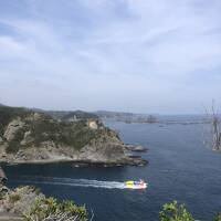 伊豆で海と桜を眺める日帰り旅