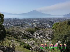 高岡公園に桜を見に行ってみた