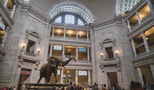 スミソニアン　スプーン　SMITHSONIAN  INSTITUTION 2025年 スミソニアン博物館群 - 出発前に知っておくべきこと