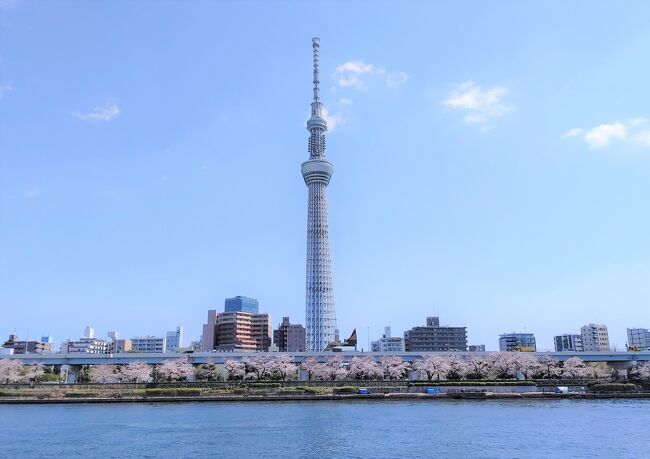 昨日の千代田の桜に続き、お花見散歩第2弾<br /><br />日の出桟橋から隅田川を水上バスで遡上し、浅草へ<br />その後は隅田川を墨田区と台東区でぐるっと。<br /><br />浜松町 → 日の出桟橋 → 浅草船着き場 → 香港亭 → 隅田公園 → 牛島神社 → 長命寺桜餅 → 桜橋 → 浅草駅<br /><br />万歩計不良で計測なし(涙)<br /><br />第3弾は豊島区めぐりの巻<br /><br /> <br />