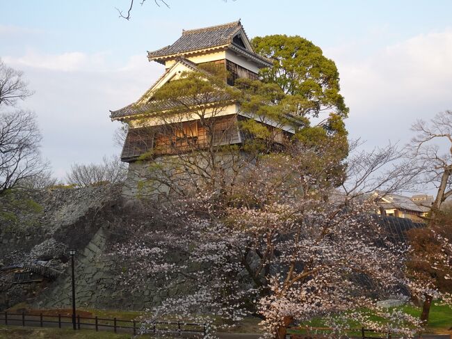 熊本市は「ケロロ軍曹」の作者吉崎観音先生ゆかりの地。<br />3月中旬、ケロロ小隊にまつわるスポットをめぐってみたのであります。