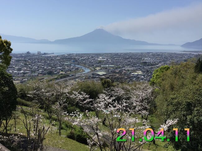 桜が満開近くになってきたので近場の桜名所を調べたらここがヒットしたので計画を立てて見ました。家内は友達と宮崎県都城市の桜を見にいくと言ったので私は一人で高岡公園の桜を見にいくと予定を立てました。土曜日だったせいか子供連れの家族が多かったですね。ここからは絶景の桜島を望むポジションでもあります。