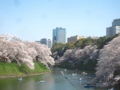 あちこち行ってみた 都内桜の名所2021